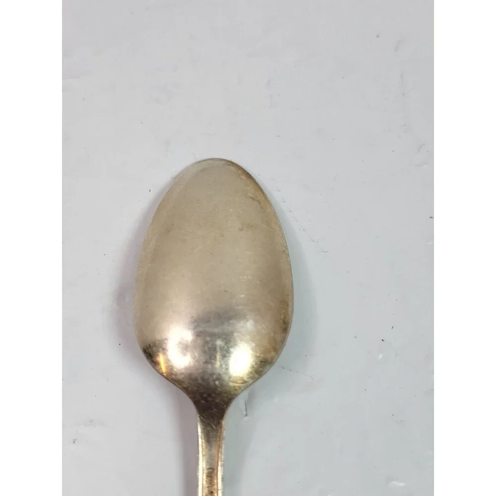 Vintage Wm Rogers Mfg Co Original Rogers Silverplate Serving Spoon Floral